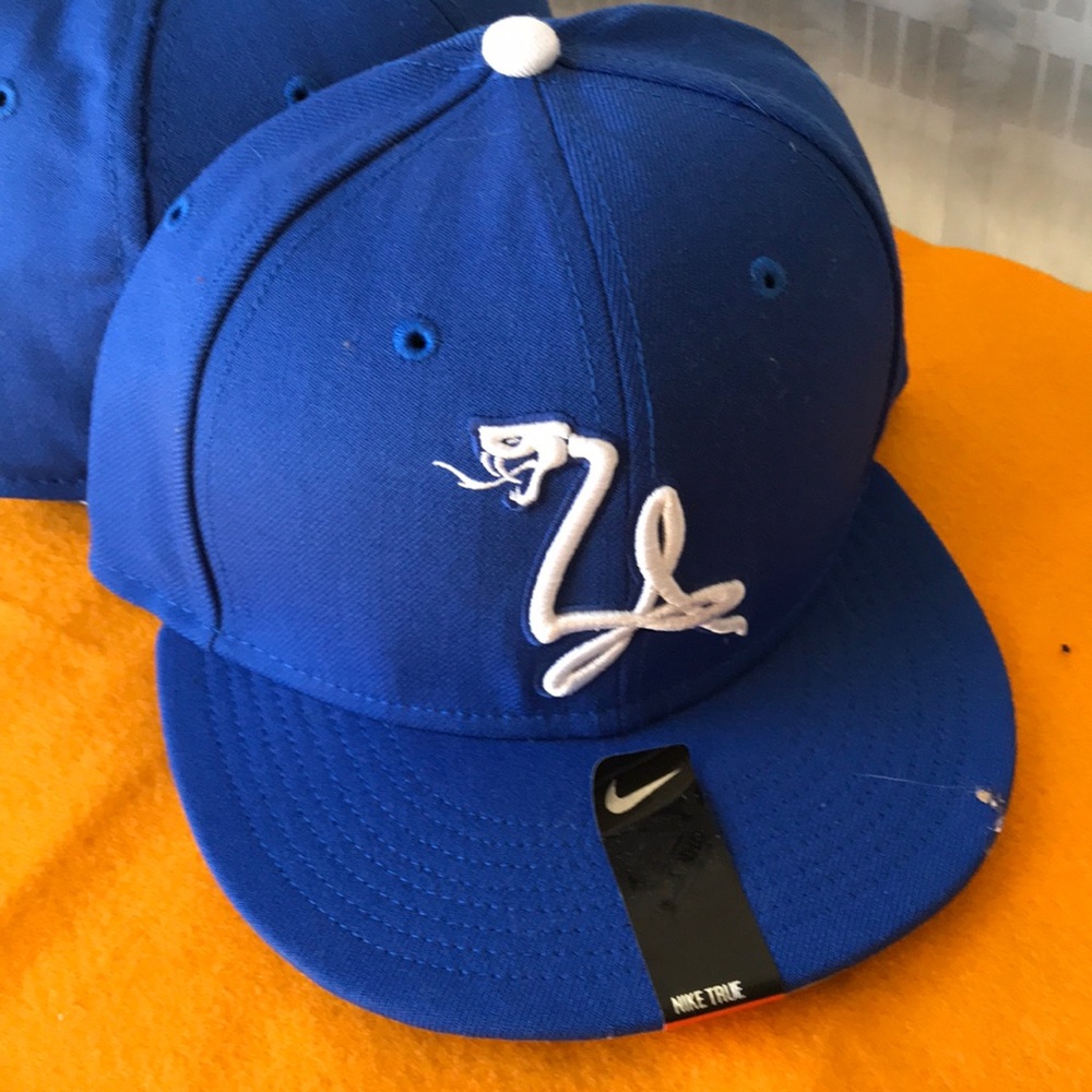 Nike True Swoosh baseball hat New!